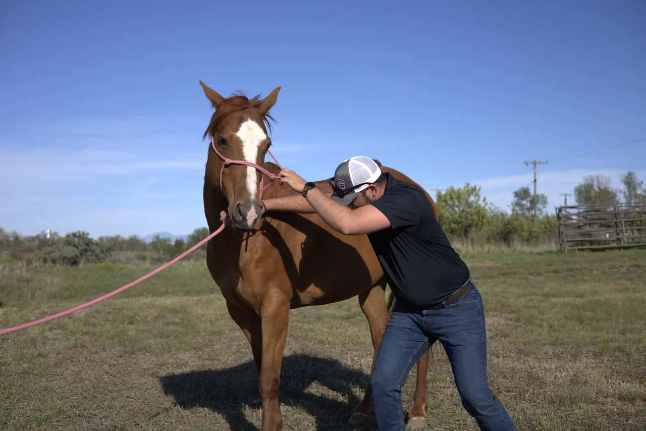 Dr. Andrew Leo performing an outdoor mobile equine chiropractic adjustment