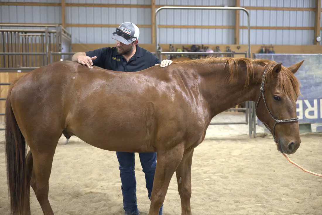 Dr. Andrew Leo assessing a horse’s back
