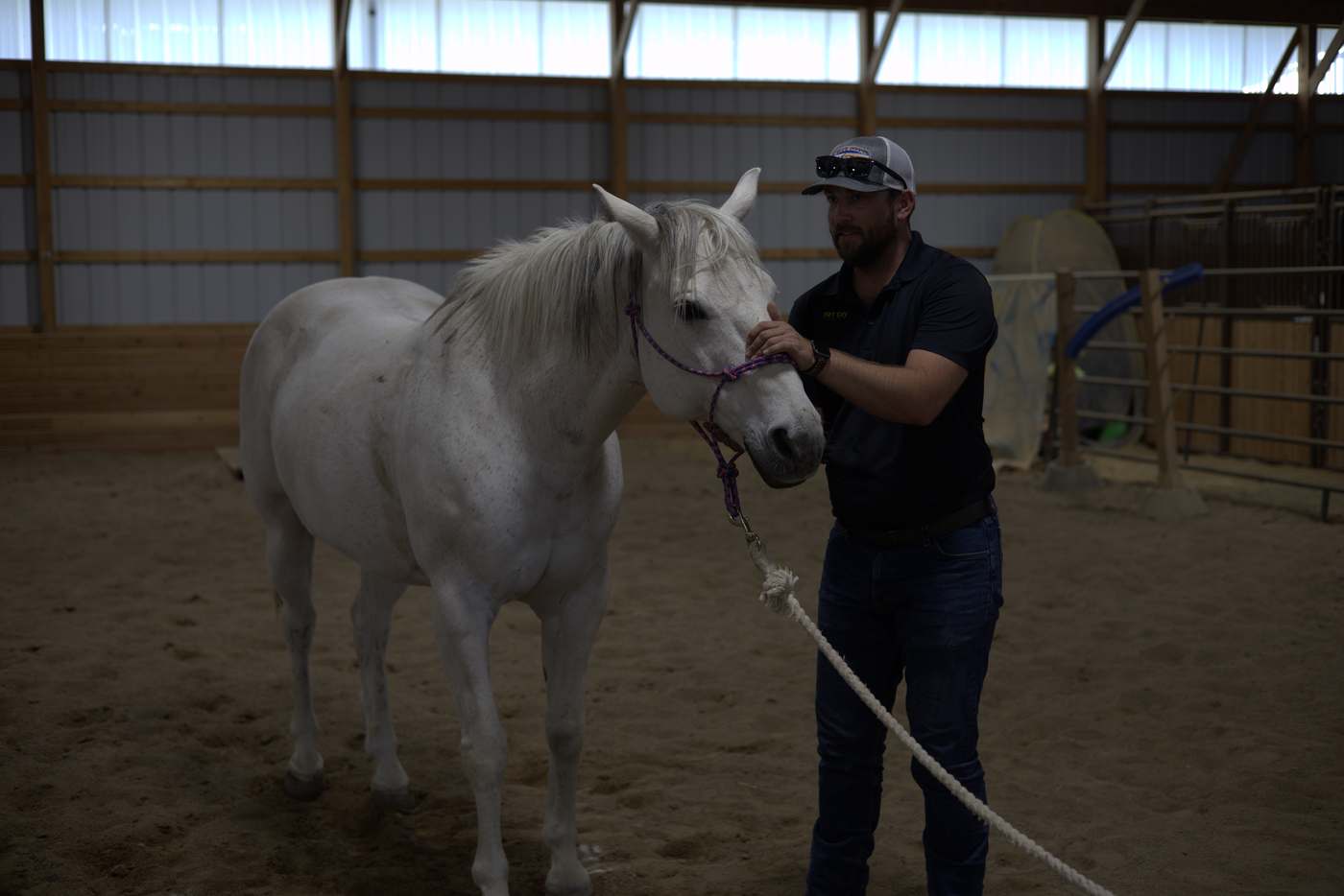 Dr. Andrew Leo bonding with a grey horse before treatment