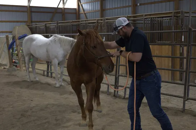 Dr. Andrew Leo standing with a haltered horse in an arena