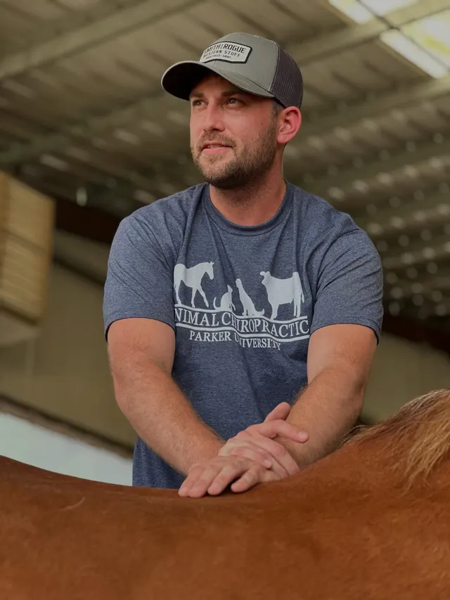 Dr. Andrew Leo working with a horse