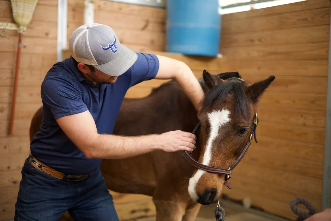 Dr. Andrew Leo providing hands-on chiropractic care for a horse
