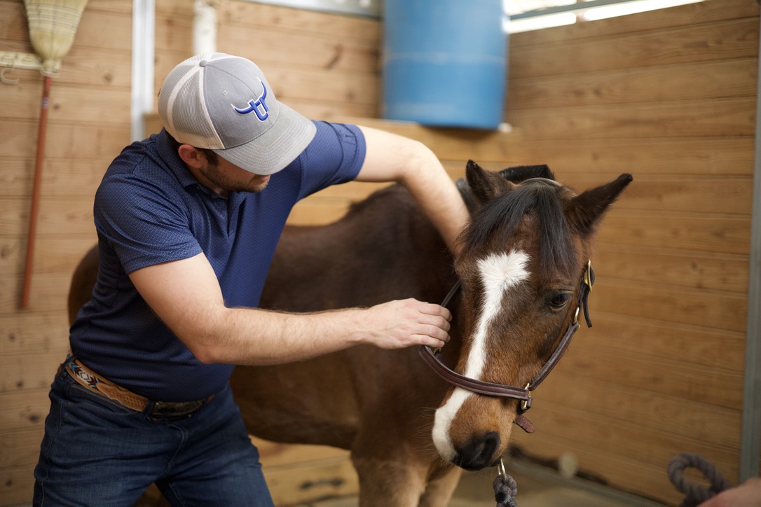 Dr. Drew Leo performing equine chiropractic adjustment