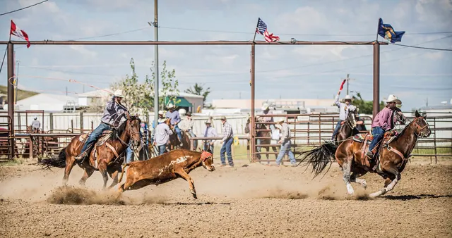 Performance horse and rider in a rodeo arena